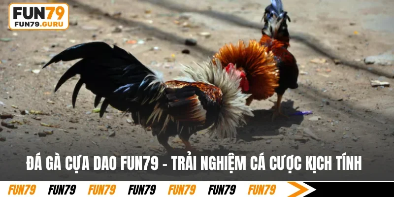 đá gà cựa dao fun79