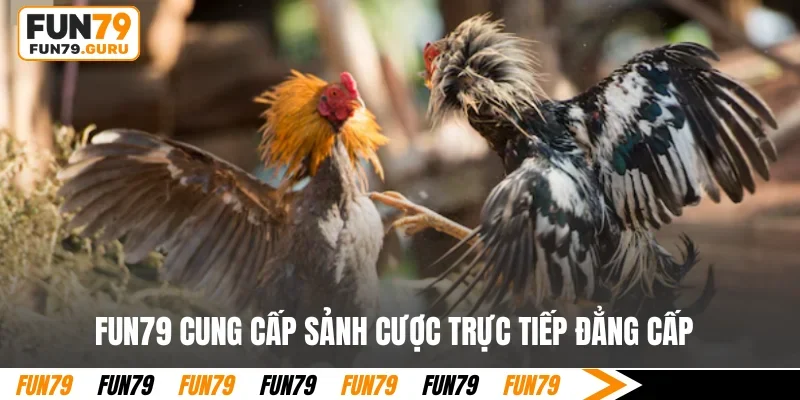 FUN79 cung cấp sảnh cược trực tiếp đẳng cấp