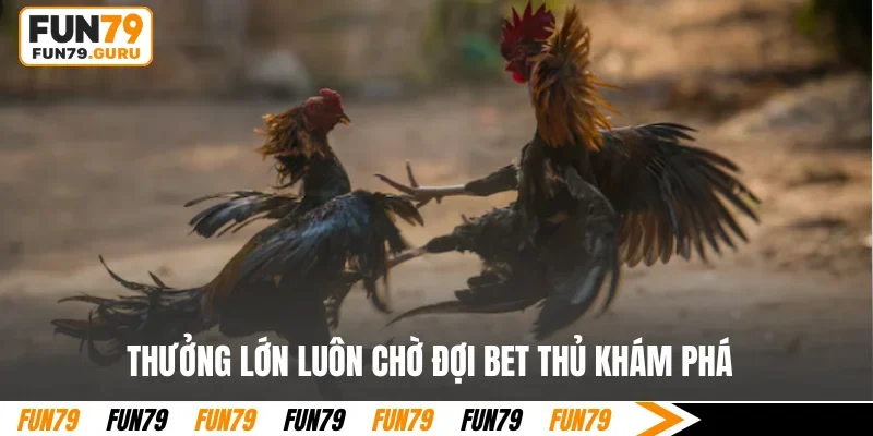 Thưởng lớn luôn chờ đợi bet thủ khám phá